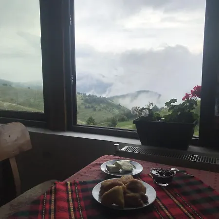 Guest House Chala בית הארחה 3*