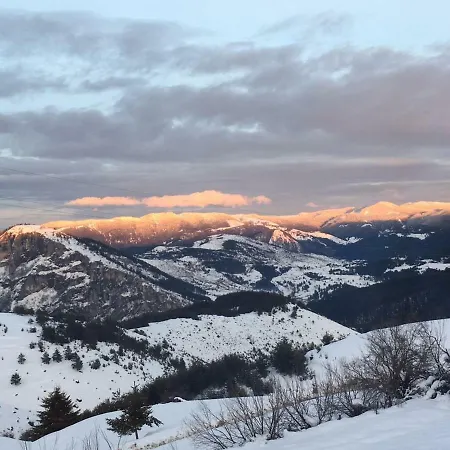 Guest House Chala בית הארחה
