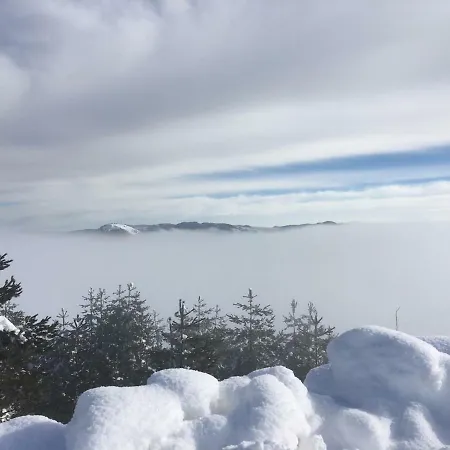 Guest House Chala בית הארחה 3*