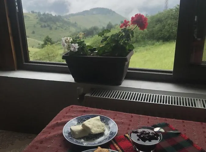 Guest House Chala Maison d'hôtes 3*